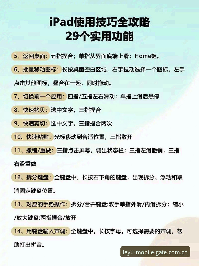 乐鱼互动平台使用指南：从下载到竞技体验的完整流程