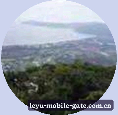 陈宇